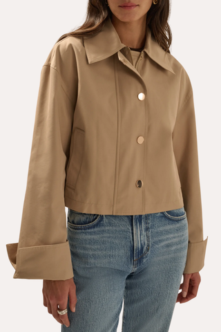 The Rue Cropped Trench
