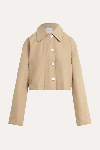 The Rue Cropped Trench