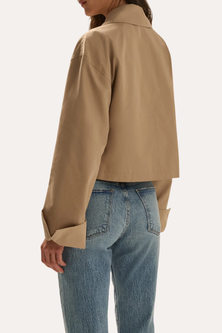 The Rue Cropped Trench