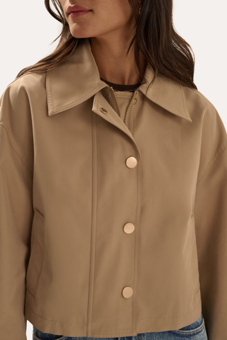The Rue Cropped Trench