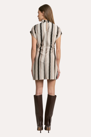 Devon Mini Dress