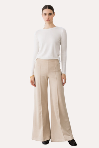 Stretch Suede Standard Wide Leg Pant