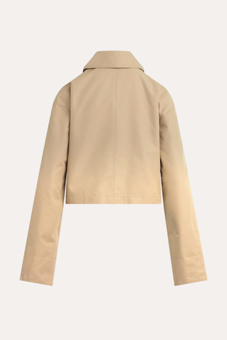 The Rue Cropped Trench